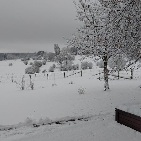 Vila Abri De Jardin Vielsalm Exteriér fotografie