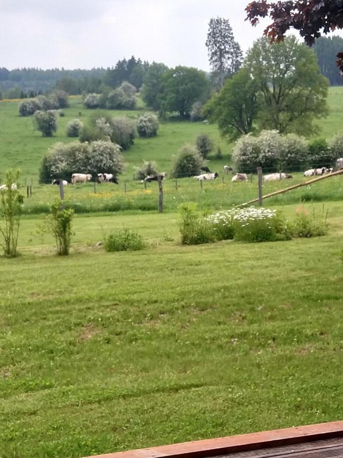 Vila Abri De Jardin Vielsalm Exteriér fotografie