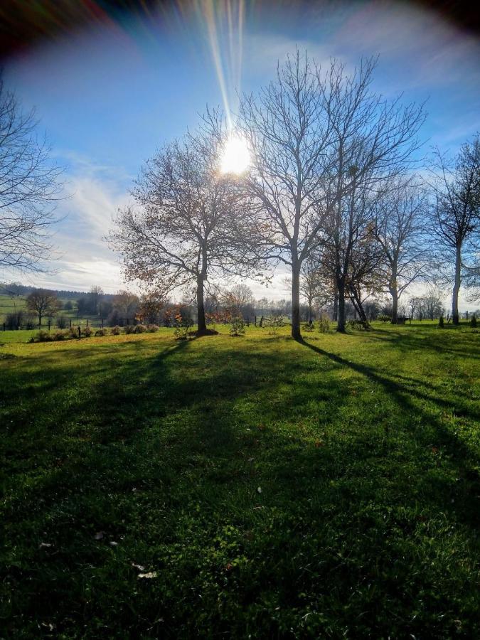 Vila Abri De Jardin Vielsalm Exteriér fotografie