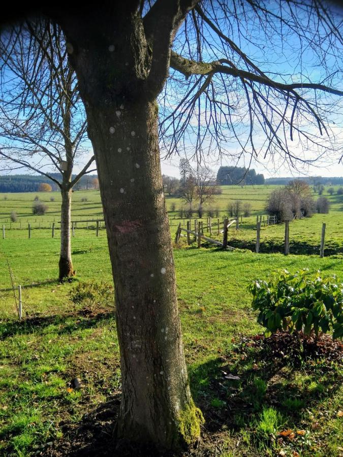 Vila Abri De Jardin Vielsalm Exteriér fotografie