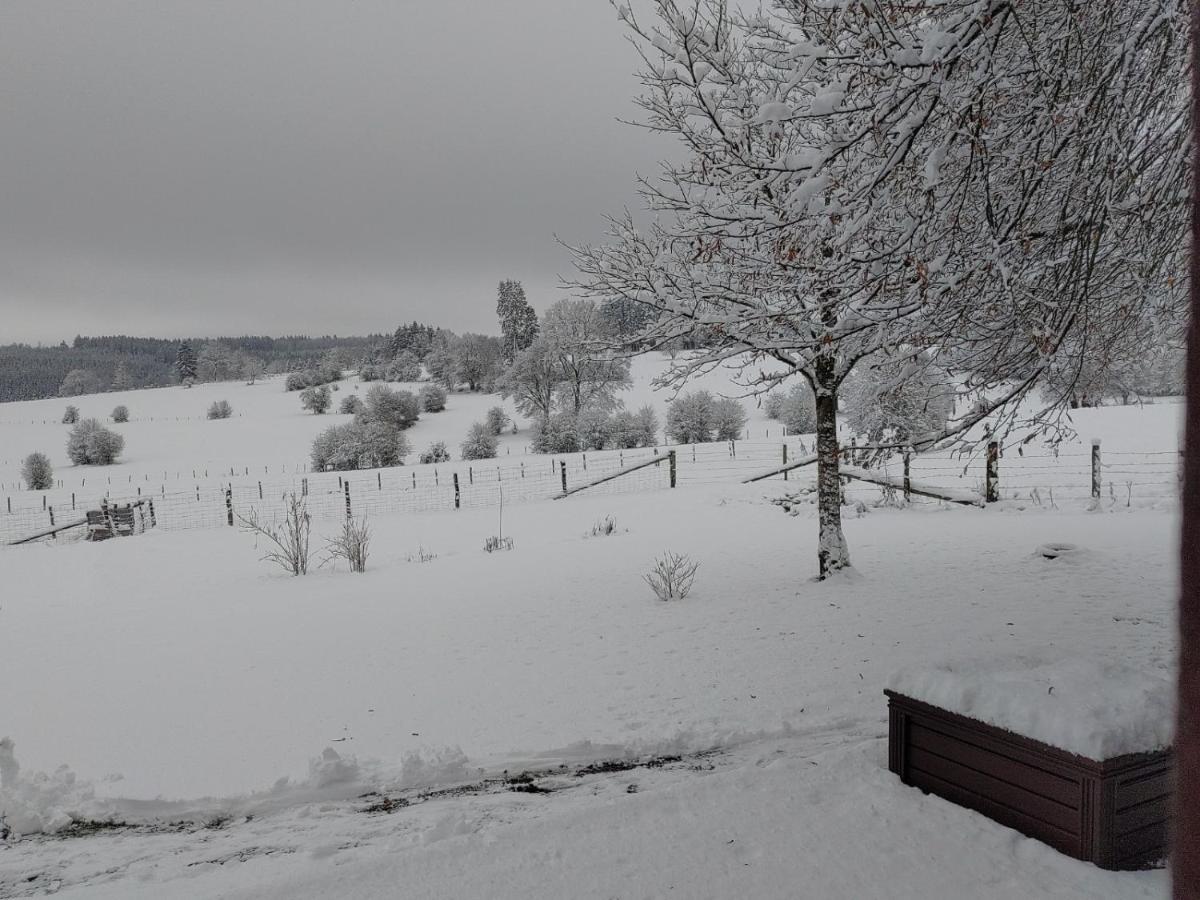 Vila Abri De Jardin Vielsalm Exteriér fotografie